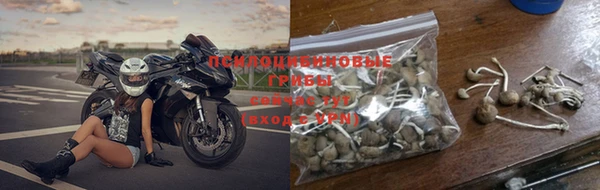 не бодяженный Абаза