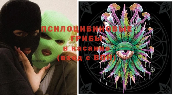ешки Абинск
