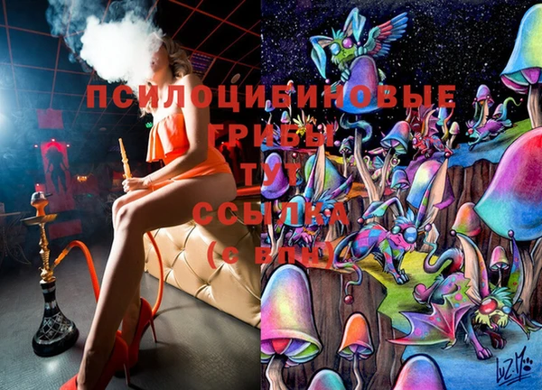 не бодяженный Абаза