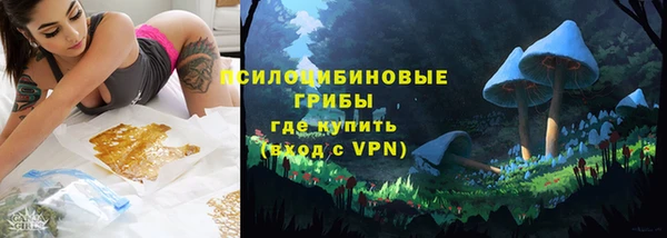 ешки Абинск